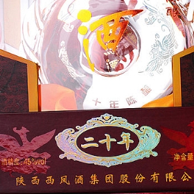 P2045500
