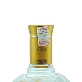 P455001956ʯأ