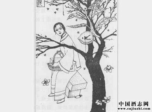攻下逐瘀劑:奪命丹