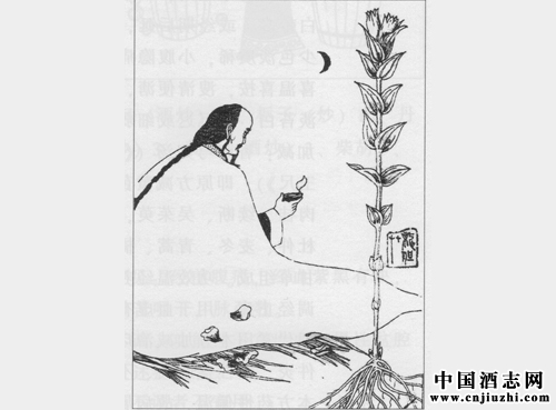 清熱利濕劑:清肝滲濕湯