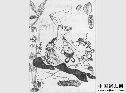 補(bǔ)腎壯陽(yáng)劑:菟絲子丸