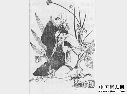 補腎壯陽劑:贊育丹