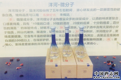 洋河——樣本價值