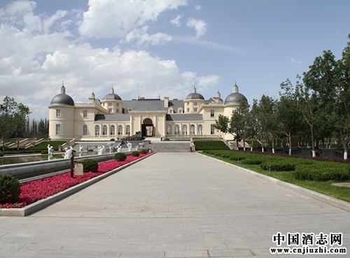 張?jiān)Dθ麪柺迨谰魄f 扎根賀蘭,名揚(yáng)世界