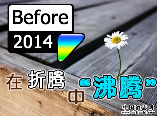 再回首,2014年在折騰中“沸騰”