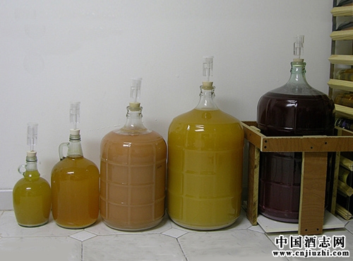 熟知如何快速自制釀造果酒