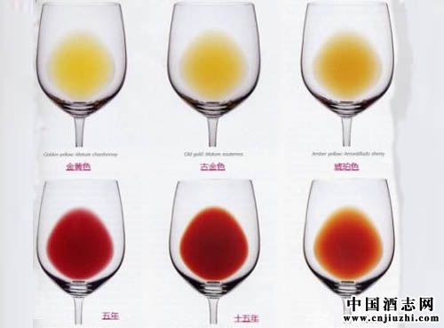 迅速辨別葡萄酒真假的小技巧