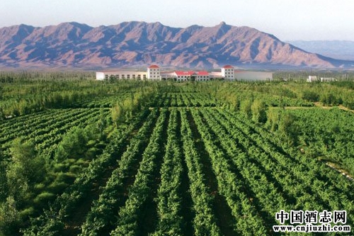 寧夏首批酒莊葡萄酒實現出口