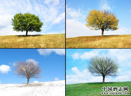 (j)(ji)(li)Ѿ