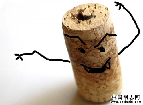 什么是木塞污染