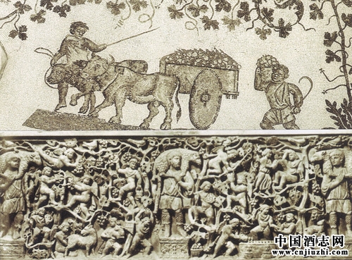 法國葡萄酒釀造的起源