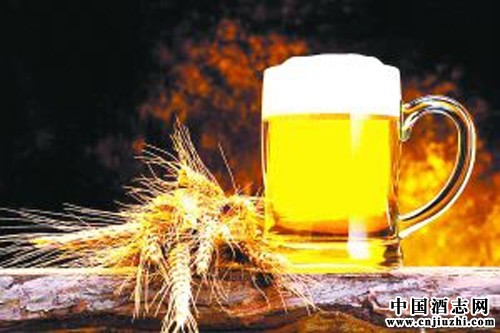 國內進口啤酒市場逆市增長
