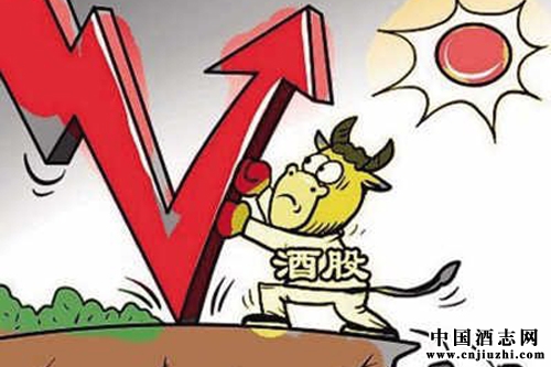 白酒行業調整分化 穩者為王