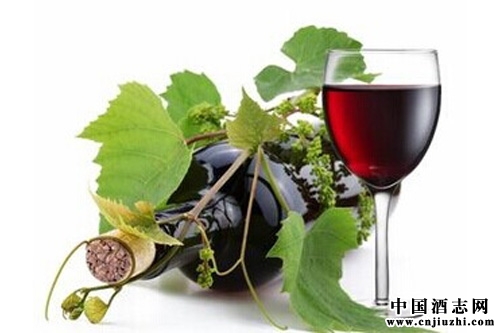 回暖 悄然進行!看國產葡萄酒企業的復蘇軌跡
