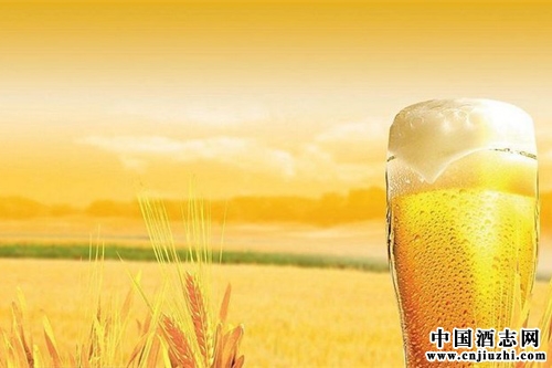 中國啤酒行業(yè)發(fā)展的四大趨勢