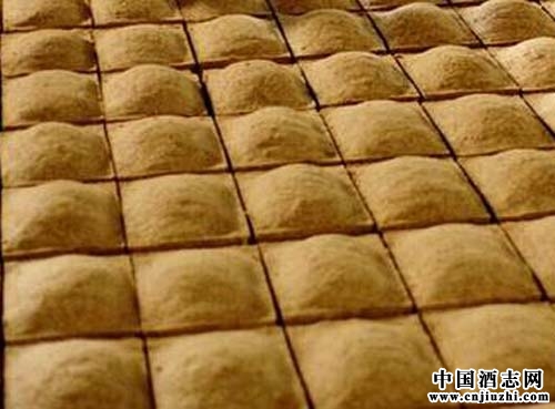 白酒釀造知識:大曲培養(yǎng)的特點