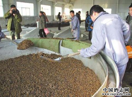 釀造白酒的原料成分及特性介紹