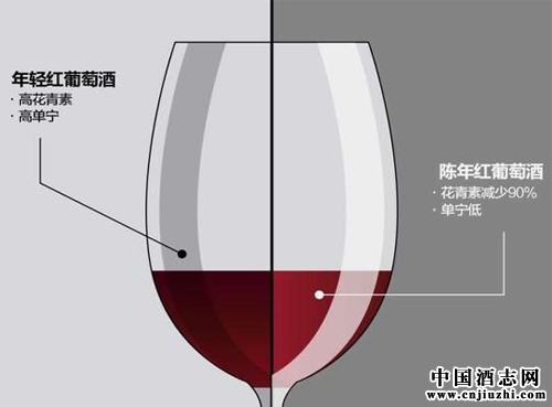 陳年葡萄酒與年輕葡萄酒有哪些區別?