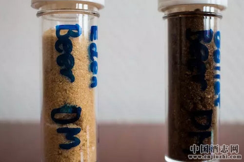 啤酒新玩法:丹麥啤酒廠推出可沖飲啤酒粉