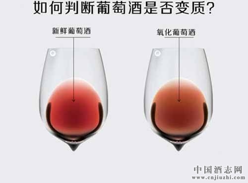 葡萄酒變質(zhì)的特征表現(xiàn)及如何分辨