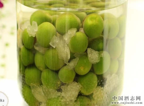 青梅酒的釀造方法及營養功效