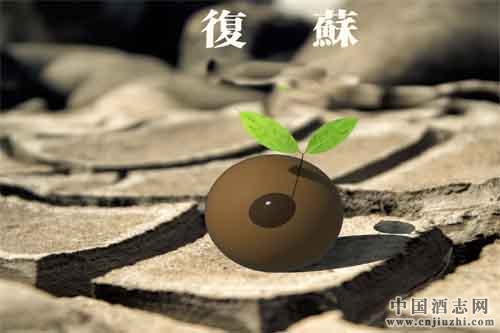 白酒企業復蘇,旺季前可提早布局