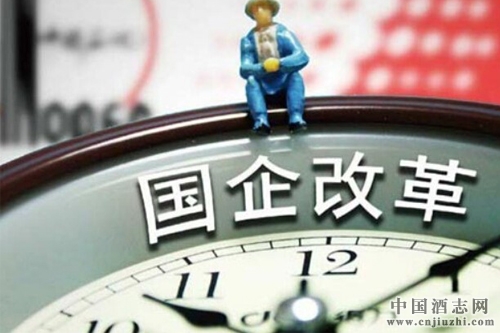 瀘州老窖劉淼:國企改革要保持動態(tài)平衡