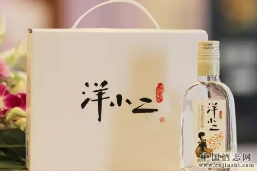 又一款青春小酒,洋河“洋小二”問世